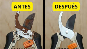 Spray Antioxido Premium - Addio 500ML